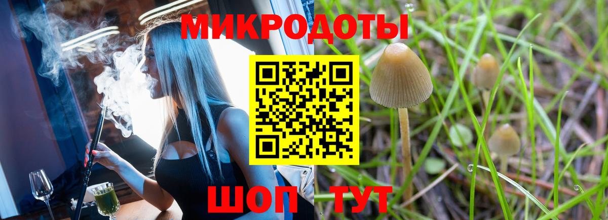 Галлюциногенные грибы мицелий Ликино-Дулёво