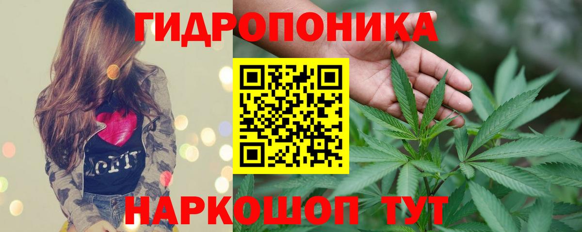 Бошки Шишки конопля Ликино-Дулёво